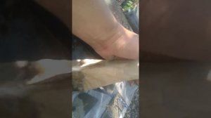 Свободное время делаю арбалит.