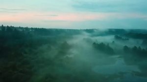 В.Пресняков - Туман