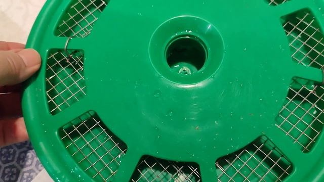 новые кормушки для перепелов. перепела растут. смотреть онлайн