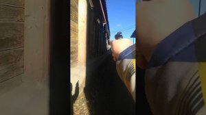 нашли противогазы