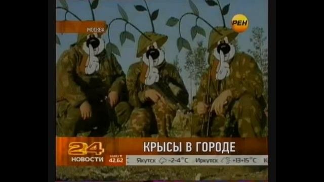 Какие милые грызуны и не очень!