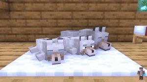 Ocelot & Wolf Life II - Minecraft Animation