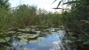 СПЛАВ НА БАЙДАРКЕ ПО РЕКЕ БИТЮГ 2021 | #1 Джунгли Битюга