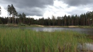 Фокинские карьеры. г. Брянск.