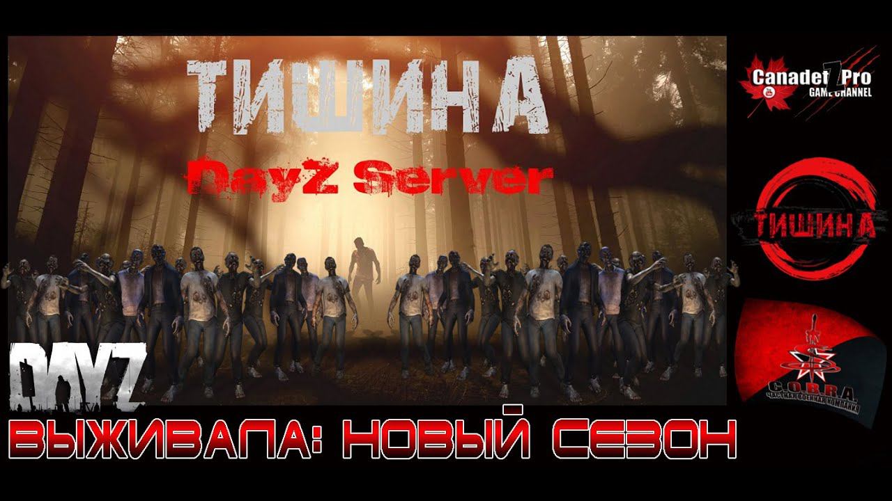 DayZ Проект ТИШИНА. Выживала: Новый сезон