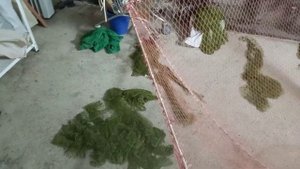 Драга,Ахан,Донный трал...или как там его?