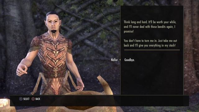 The Elder Scrolls Online up levl смотреть онлайн