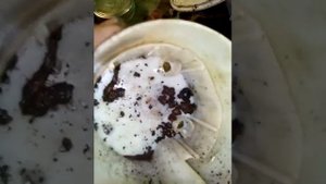 Замена бензонасоса на вис класика