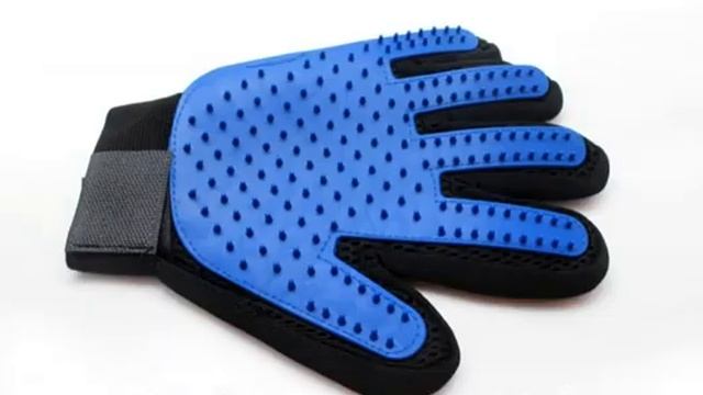 Пушистый кот — названия пород и примеры с красивым хвостом смотреть онлайн