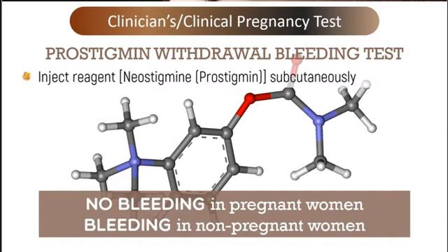 AUBF - Pregnancy Testing смотреть онлайн