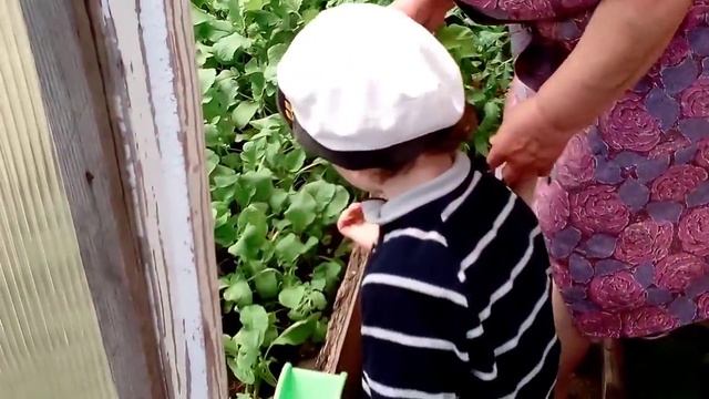 цветок любимой женщине смотреть онлайн