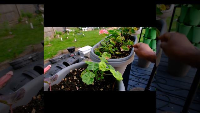 5 19 23 Back Garden Tour смотреть онлайн