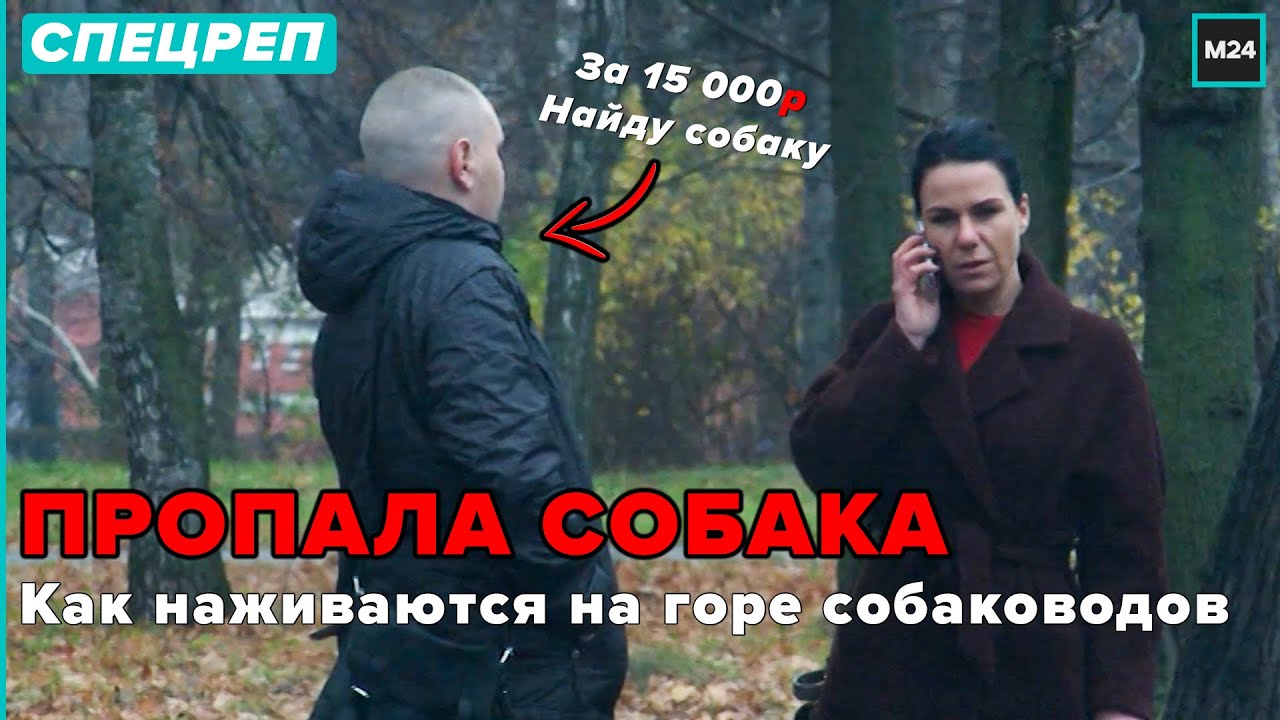 ВАША СОБАКА У НАС | Кто и как наживается на горе собаководов - Специальный репортаж