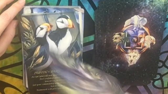 Spirit of the Animals Oracle flip through and review смотреть онлайн