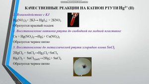 Качественные реакции на катионы VI аналитической группы. Кузьмич Е.С