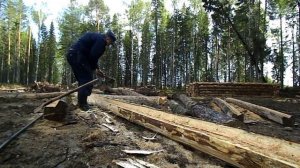 Как очистить бревна от коры