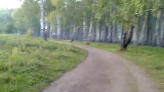 Чем сильные родители отличаются от слабых смотреть онлайн