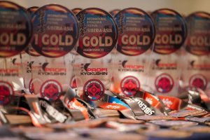 Будокай на международном турнире