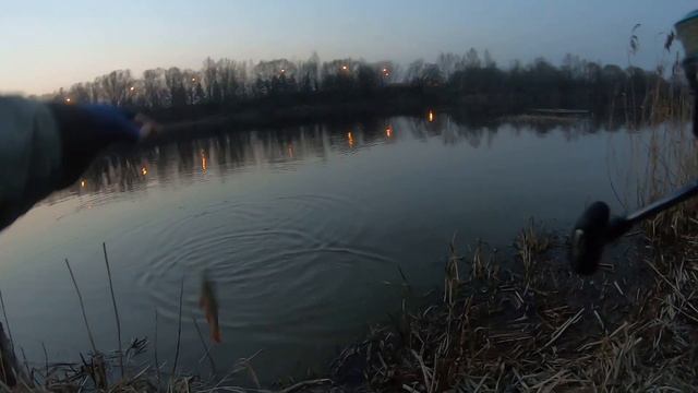 Ловля красноперки на поплапоппер смотреть онлайн