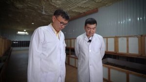 Мини БИЗНЕС на Дому с МИНИМАЛЬНЫМИ вложениями. Сверчковая ферма – обзор