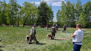 выставка охотничьих собак лаек город Омск 2023 год Р.Е.Л и западно-сибирские