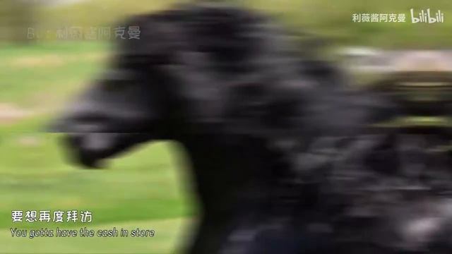Black Horse Compilation | Черный конь сборник | 黑马混剪