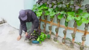 Простой огород на балконе или маленьком участке.