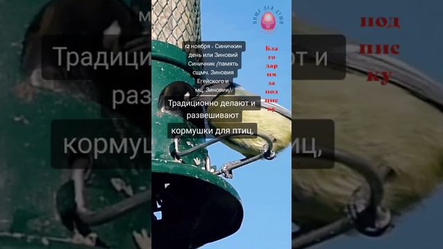 В этот #день традиционно делают...