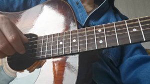 Samick LW-015 G/BS
