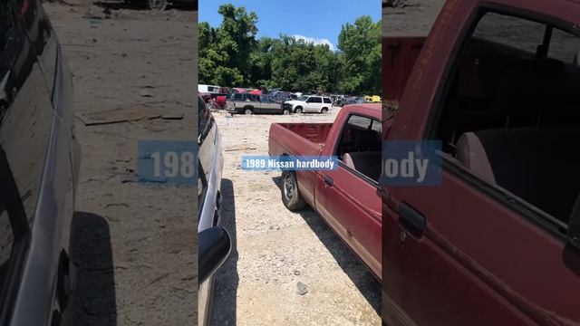 1989 Nissan D21 смотреть онлайн