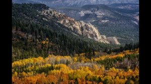 6 Beautiful and Inspiring National Forests in the United States | National Forests