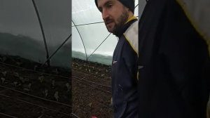 отопление в теплицах самый дешёвый вариант своими руками №1