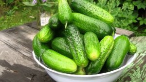 Ешьте огурец с кожурой, чтобы похудеть, вот как это работает!