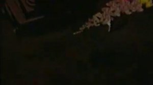 Скрипка пионера