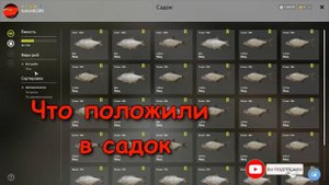 Русская рыбалка 4(рр4) - озеро Куори. Лещ.