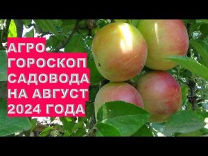 Агрогороскоп садовода на август 2024 года Gardener's agrohoroscope for August 2024