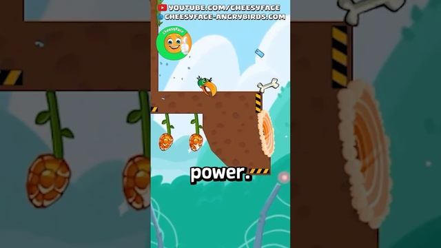 Do not use extra Power Playing Angry Birds Friends! Why not?