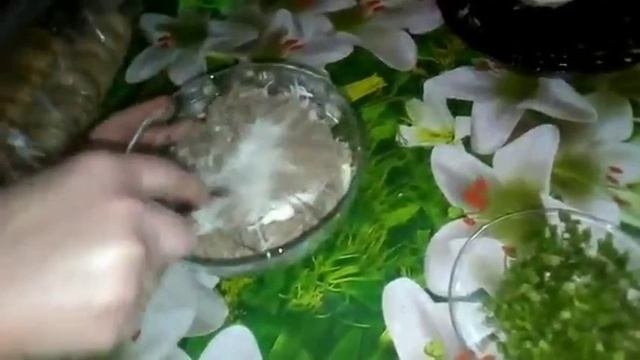 Тарталетки с сардиной,яйцом и сыром.