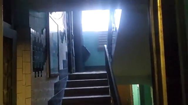 Электрический лифт (МЗС-1970, мод. под MCS-300) г. Москва, Молодогвардейская, 1к1, п-5 (20.03.2021) смотреть онлайн