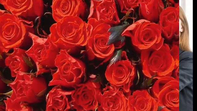 дорогому спонсору по зеекревардс смотреть онлайн