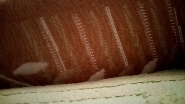 ?КАКОЕ КОЛЕСО ЛУЧШЕ ДЛЯ ХОМЯКА? {1 Часть} ?? смотреть онлайн