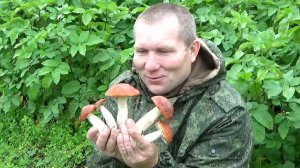 11.08.19 \ С ДНЁМ РОЖДЕНИЯ СЕСТРА \ ГРИБЫ ПОД ДОЖДЁМ