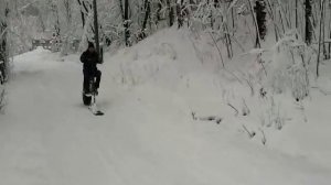 МОТОСАНИ NEXT 2   ходовые испытания