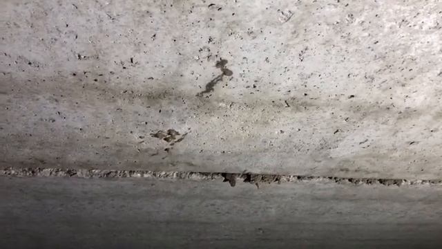 7 июня 2021 г. смотреть онлайн