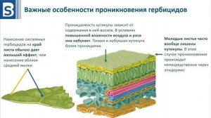 Курс Гербициды. Урок 1