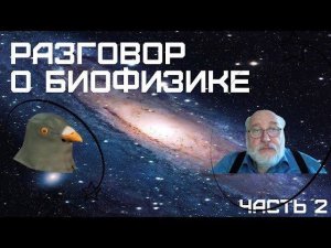 Где находится конец вселенной и что такое теория струн? Разговор с Борисом Бояршиновым. Часть 2.