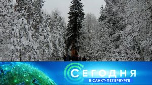 «Сегодня в Санкт-Петербурге»: 11 декабря 2023 года