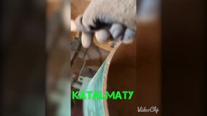 Примем катализаторов в Алмате