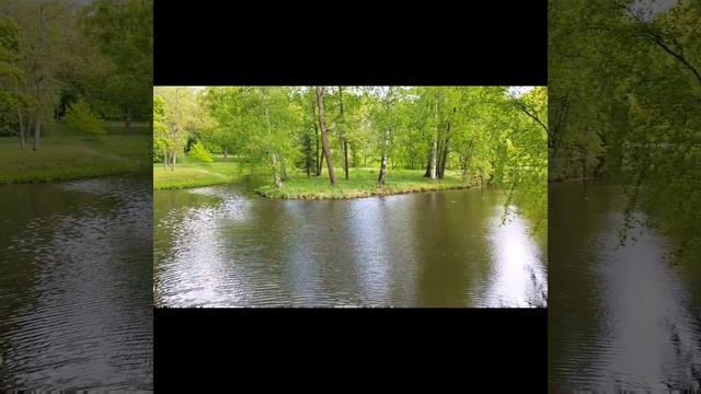 Парк Гатчинского дворца (Россия, Гатчина). Gatchina Palace Park (Gatchina, Russia). смотреть онлайн