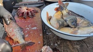 САЗАН ЖАРЕНЫЙ КРУГОМ. РЫБАЛКА НА ЕЛИЗАВЕТИНСКИХ ПРУДАХ В КРАСНОДАРЕ. РЕЦЕПТЫ СЮФ